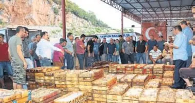 Antalyalı bu kış balığa doyacak