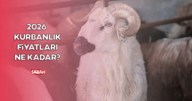Büyükbaş, küçükbaş kurbanlık fiyatları ne kadar?...