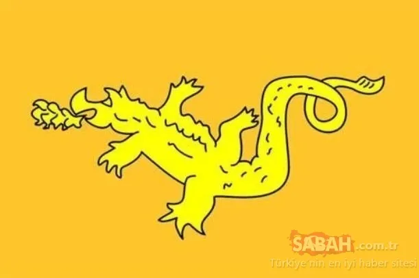 Hangi Türk boyundan geldiğinizi biliyor musunuz? Türk boylarının soyağacına göre il il dağılımı…