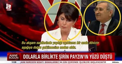 Halk TV’de Şirin Payzın’ın ve İyi Partili Durmuş Yılmaz’ın ’Dolar TL’ açıklaması sosyal medyada olay oldu!