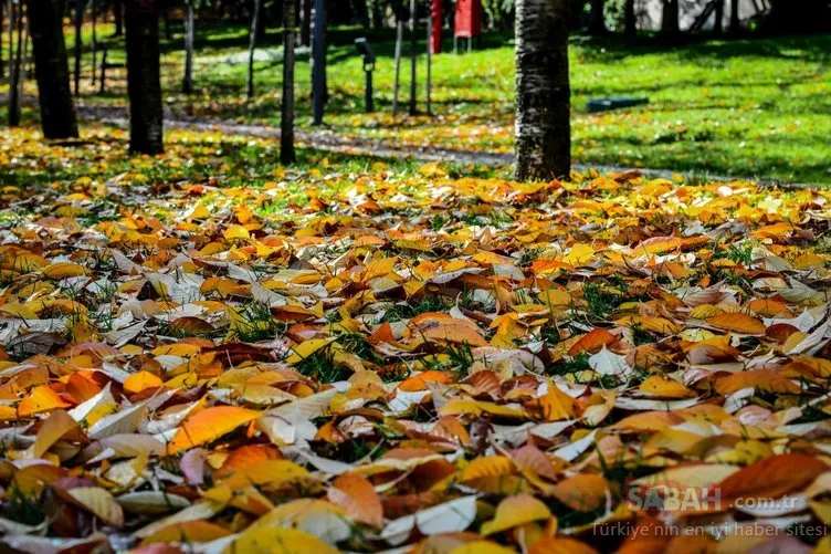 Başkent’in rengi sonbahar