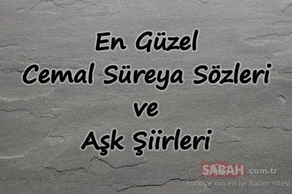 türkçealtyazıporno samuray kiliciyla oldurulen kadin
