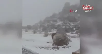 Nemrut’ta Mayıs ayında kar sürprizi | Video