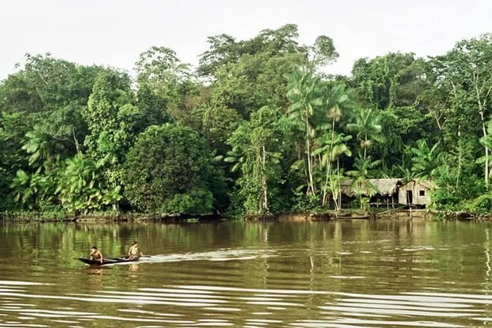 Amazon Ormanları’nın göz kamaştıran fotoğrafları