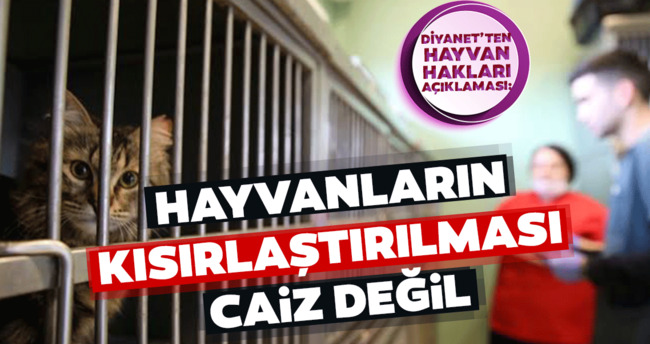 hayvanlarin kisirlastirilmasi caiz degil son dakika haberler