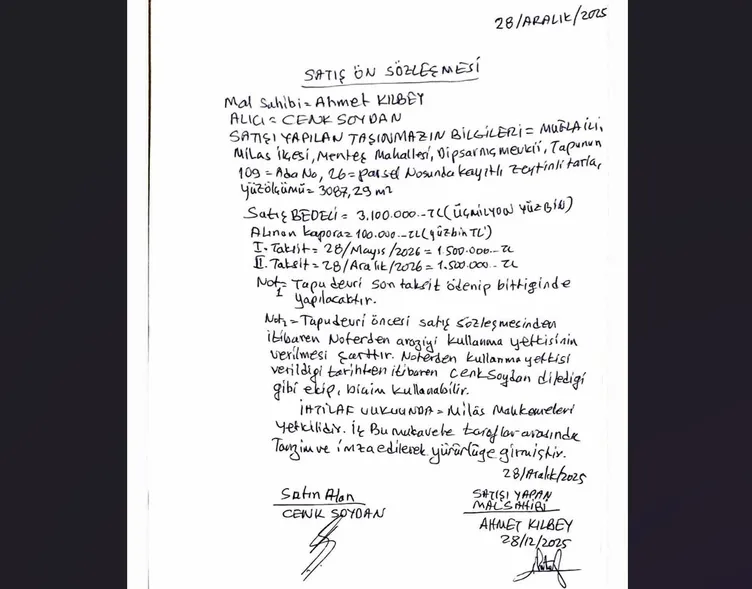 SON DAKİKA | CHP’den önce katliam sonra miting! 100 yıllık zeytin ağaçlarını kestiler