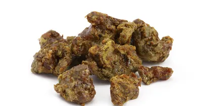 Tam bir virüs kalkanı