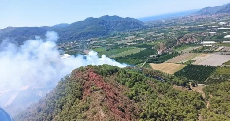 Son dakika: Muğla’da orman yangını!