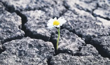 Şimdi dayanışma ve kucaklaşma zamanı