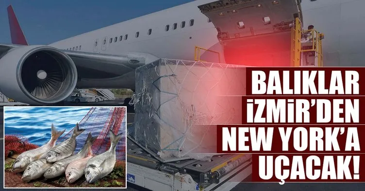 Türk balıkları özel uçak konforuyla İzmir’den New York’a uçacak