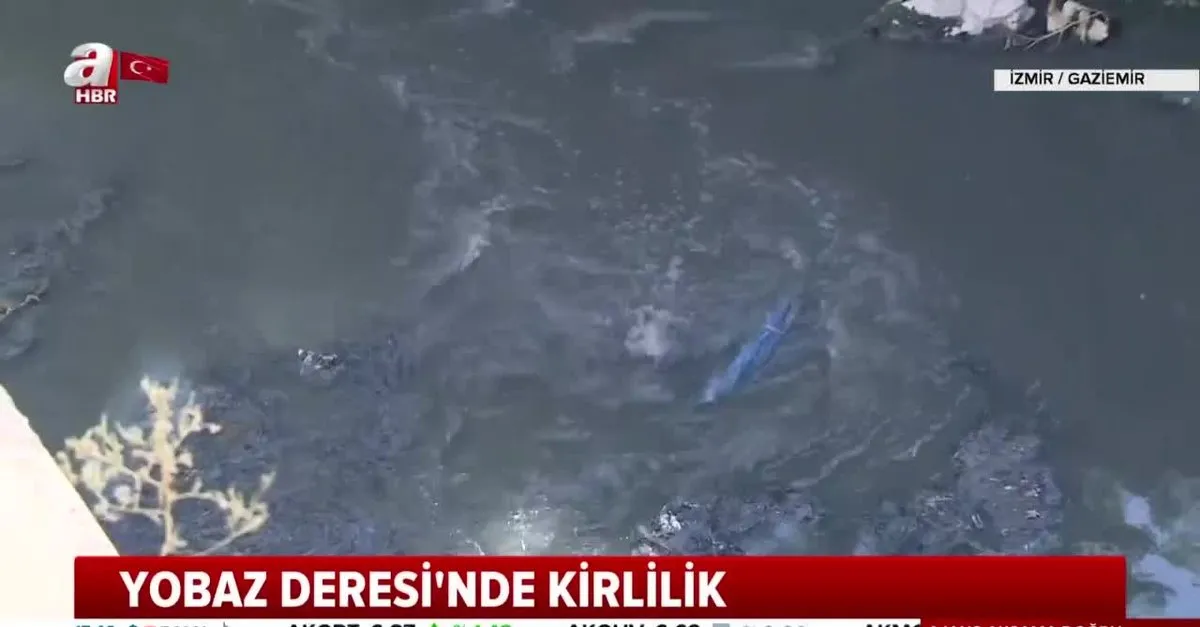 Izmir De Cevre Felaketi Yasaniyor Video Videosunu Izle Son Dakika Haberleri