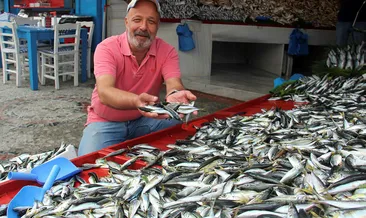 Marmara’dan 40 yıl sonra uskumru çıktı