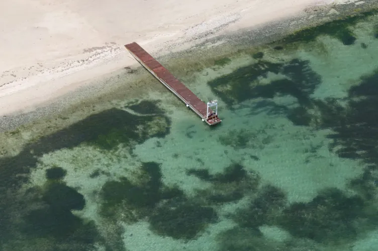 Epstein adasındaki gizli kapak gün yüzüne çıktı: Cesetler denize mi atıldı? Dehşete düşüren cinayet yazışmaları!