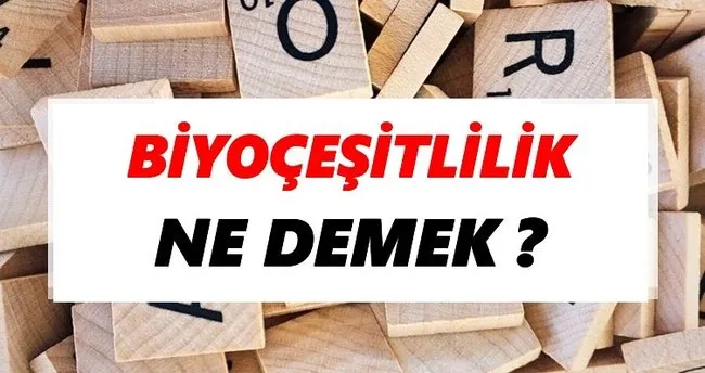 Biyoçeşitlilik Ne Demek? TDK’ya Göre Biyoçeşitlilik Sözlük Anlamı Nedir?