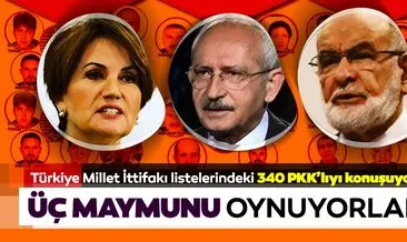 Türkiye Millet İttifakı listelerindeki 340 PKK’lıyı konuşuyor! #siirt