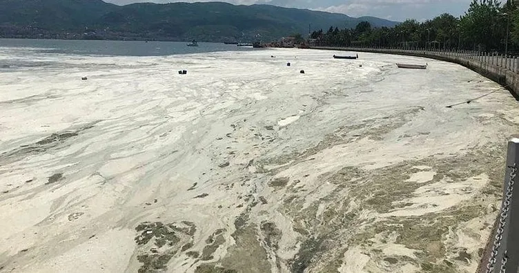 SON DAKİKA HABERİ: ’Salya’ sorunu çözülüyor! Bakanlık Marmara Denizi için harekete geçti