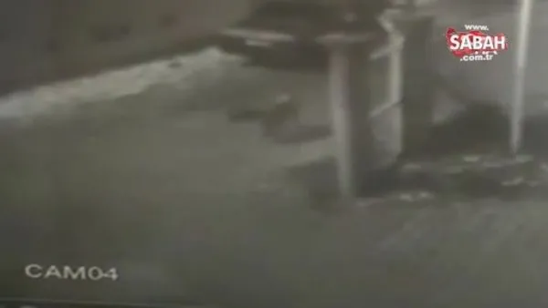Karne almak için okula giden genç kıza sokak köpekleri saldırdı | Video