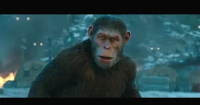 Maymunlar Cehennemi Savaş konusu ve oyuncu kadrosu: Maymunlar Cehennemi filmi nerede çekildi?