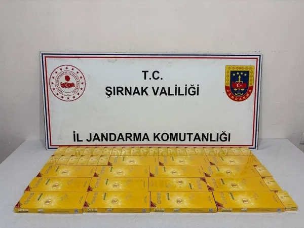 sirnakta-1-haftada-kacakcilik-ve-narkotik-operasyonlarinda-62-gozalti-1780321742891.jpg