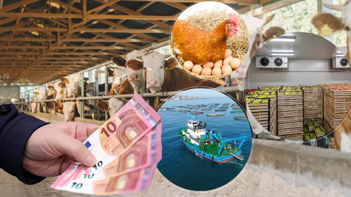 Milyonlara geri ödemesiz 241 milyon euro verilecek! Takvim belli oldu, kimler yararlanacak? Milyonlara geri ödemesiz 241 milyon euro verilecek! Takvim belli oldu, kimler yararlanacak?