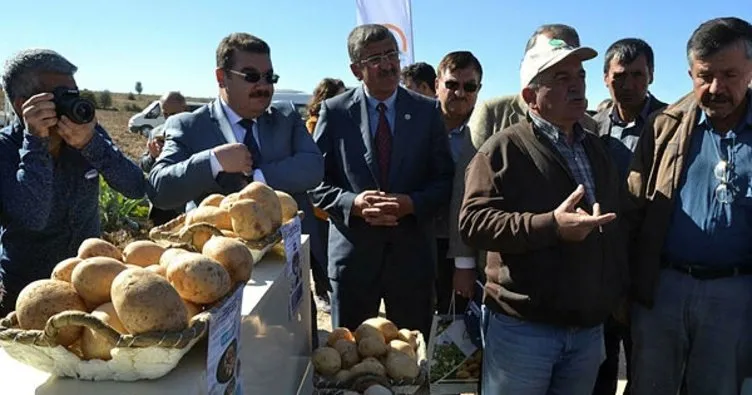 Nevşehir’de ’milli patates’ ile tarla günü