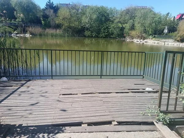 sehrin-gobegindeki-botanik-park-kaderine-terk-edildi-1713772295341.jpg
