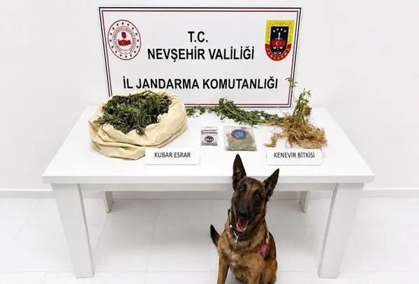 nevsehirde-uyusturucu-operasyonu-esrar-ve-kenevir-ele-gecirildi-1787483241534.jpg