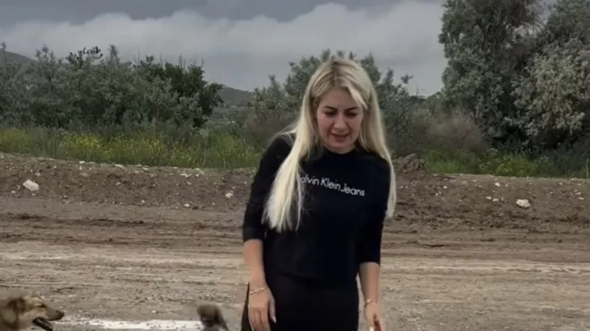Ankara’ya hastalıklı köpekleri getirmişti! Buket Özgünlü için istenen ceza belli oldu Ankara’ya hastalıklı köpekleri getirmişti! Buket Özgünlü için istenen ceza belli oldu