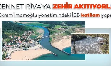 Cennet Riva’ya zehir akıtıyorlar