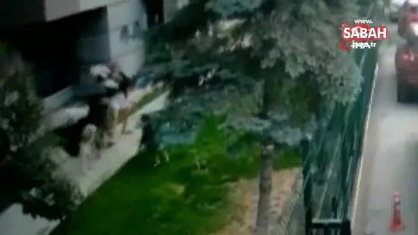 Site içerisinde köpeğini gezdiren kadın, başıboş köpekler tarafından böyle saldırıya uğradı | Video