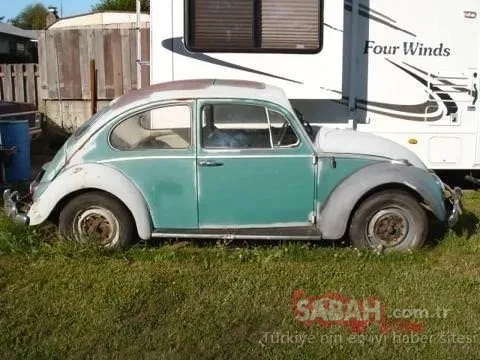 Efsane model Volkswagen Beetle çürümeye terk edilmişti! Muhteşem değişimle yollara geri döndü