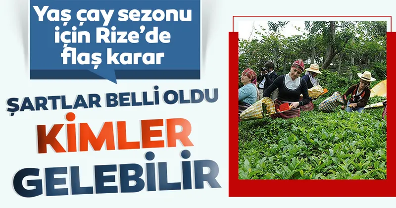 rize ye