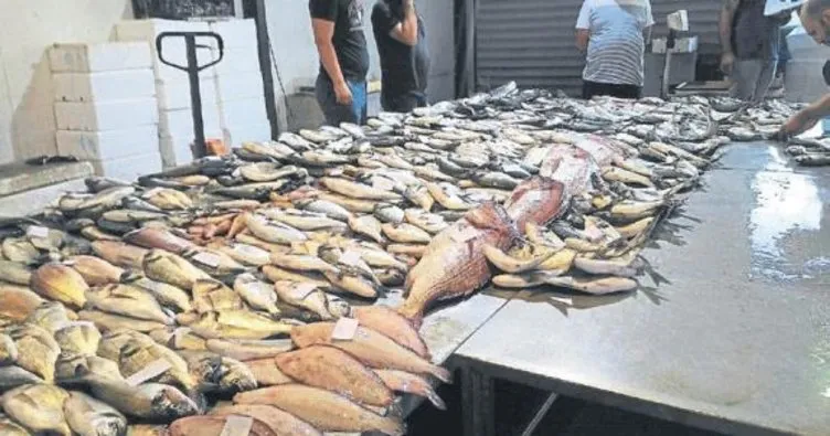 İzmir’de yasa dışı balıkçılığa denetim