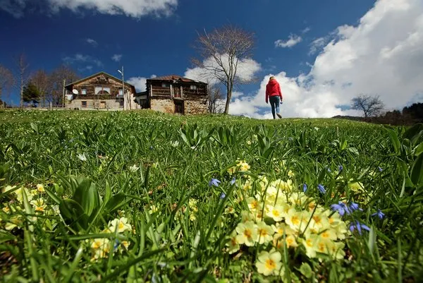 'Mor yayla'ya ziyaretçi akını