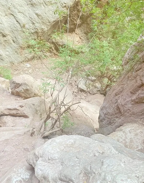 Kelebekler Vadisi’nde yüksekten düştüğü sanılıyordu: Gülsimay Yılmaz’ın ölümüde sır perdesi aralandı!