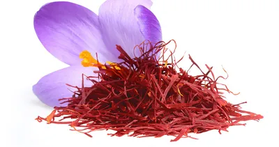 Akılalmaz dolandırıcılık! Kilosu 50 bin lira... At kılı ile taklit ediyorlar