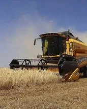 Tarımsal girdi fiyat endeksi açıklandı