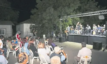 Erdemli’de kontrollü sanat gösterileri