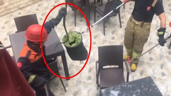 istanbul da yilan panigi yilanlar neden o semtlerde ortaya cikti video