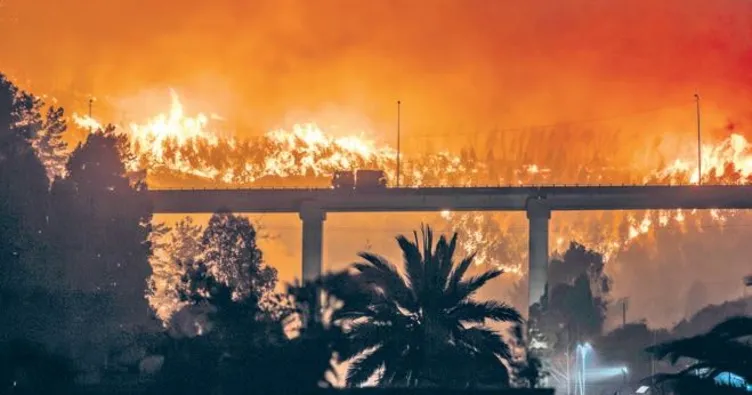 Şili’de orman yangını 18 can kaybı