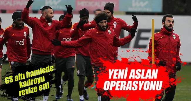 Yeni Aslan operasyonu