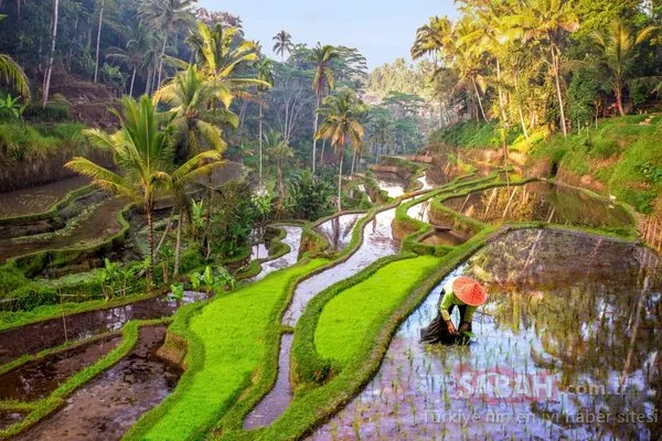 Bali’yi keşfedin! Mutlaka gitmeniz gereken yerler ve yapmanız gereken aktiviteler…