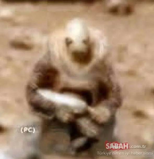 Mars'tan gelen fotoğraf kan dondurdu! NASA herhangi bir açıklama yapmadı