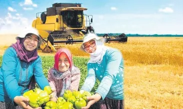 Çiftçi üretecek devlet alacak