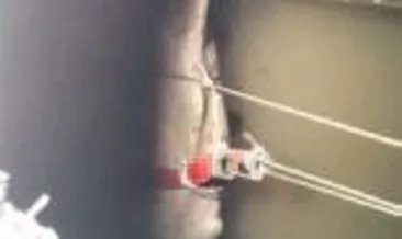 Kuyuya düşen atı itfaiye kurtardı