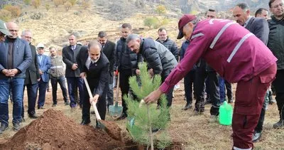 Tunceli’de ağaçlandırma seferberliği: 20 bin fidan toprakla buluşturuldu
