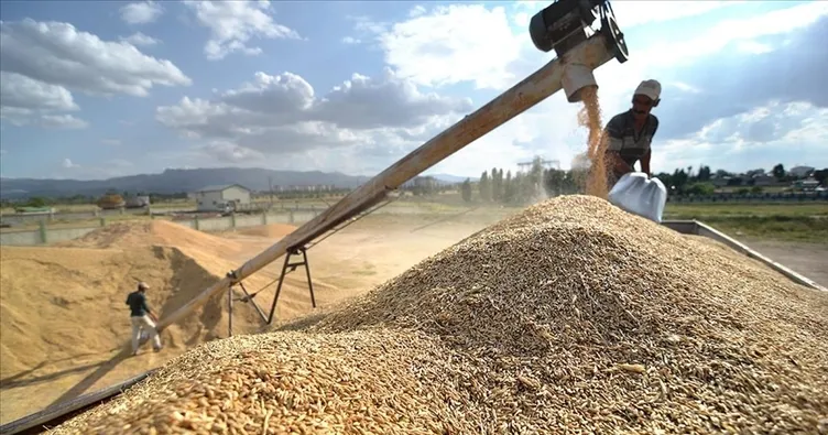 TİGEM, hububat hasadı rekoru kırdı