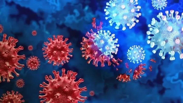 H1N1 virüsü nedir, açılımı ne? H1N1 nasıl bulaşır, ölümcül mü, tedavisi var mı?