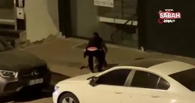 Zeytinburnu’nda akıllara durgunluk veren olay kamerada: Ağızlıksız gezdirilen Pitbull kediye saldırdı! | Video