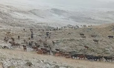 Erzurum'un yüksek kesimlere kar yağdı #erzurum